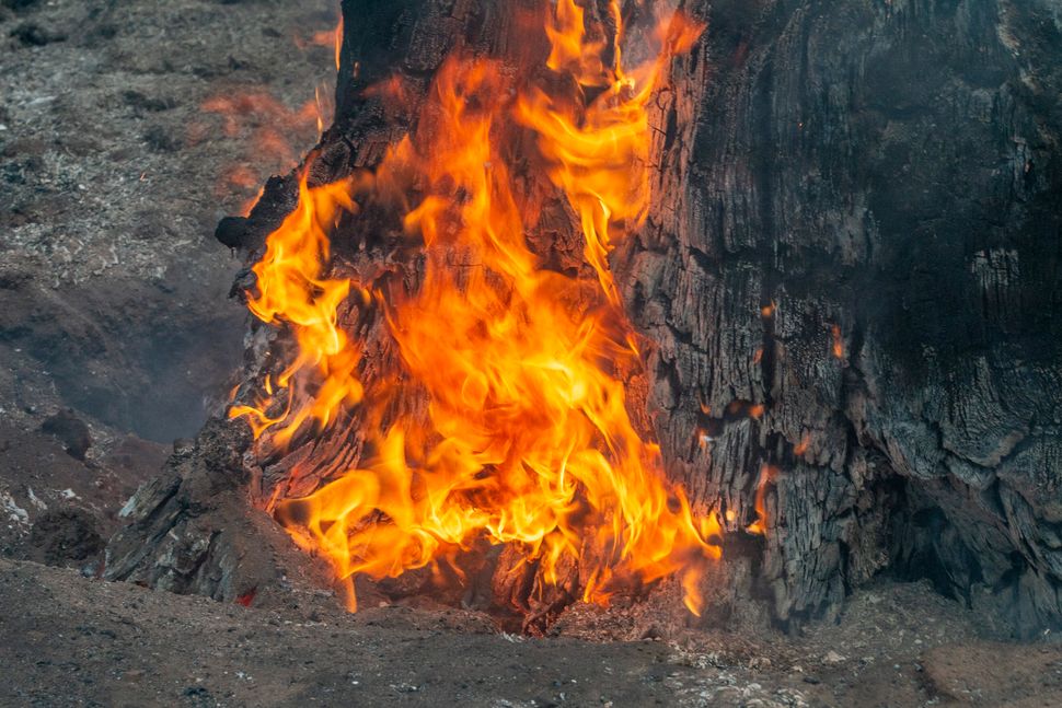 More than 2,100 firefighters were again struggling to contain the vast Bootleg Fire raging in southern Oregon, near the borde