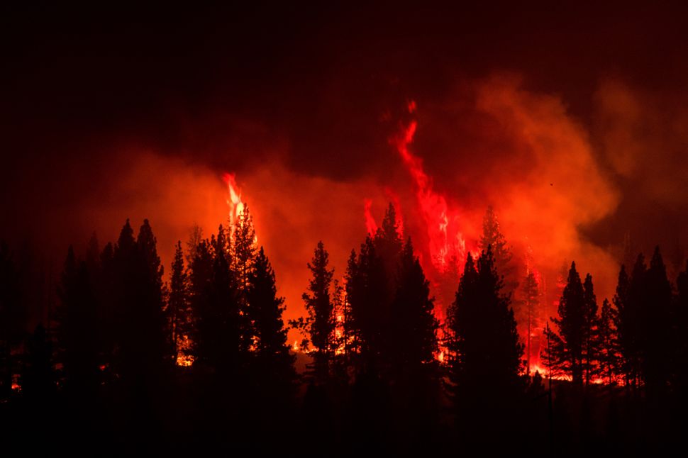 The Tamarack Fire, which was sparked by lightning on July 4, had charred about 28.5 square miles of dry brush and timber as o