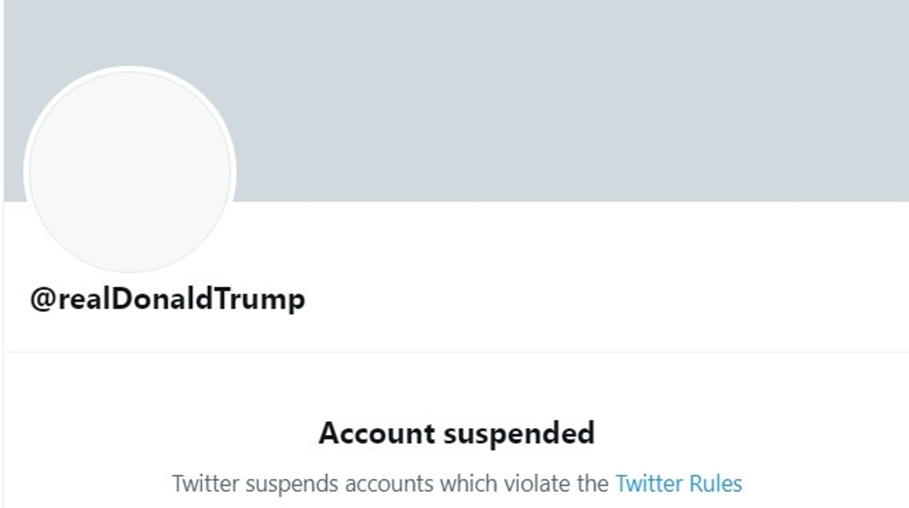 Trump's New Spokesperson Is Spreading His Election Lies On Twitter For Him - Vimarsana News