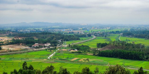 Green Terraced Rice Field in Quang Ngai, Vietnam