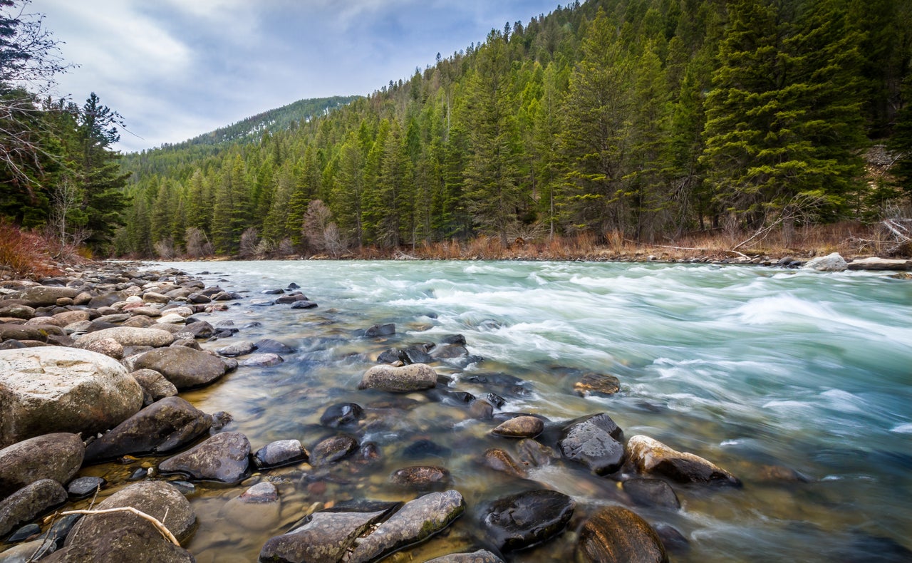 Montana's Famed Trout Under Threat as Drought Intensifies - The New York  Times