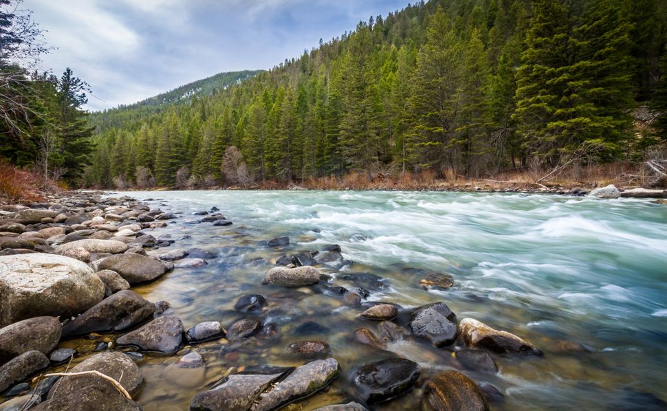 The 120-mile-long Gallatin River is one of three rivers that converge near Three Forks, Montana, to form the Missouri River.