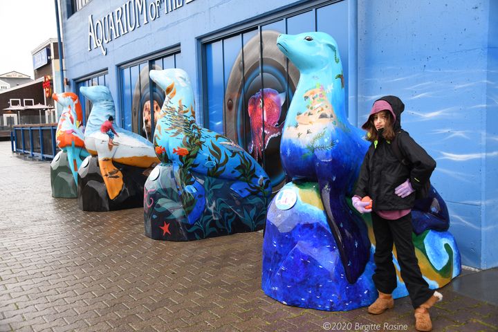 Aria Luna with "Deep Blue," her sea lion statue at Pier 39 in San Francisco. January 2020.