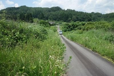 道の両側はかつて広々とした水田だった＝2021年7月19日、福島県浪江町津島