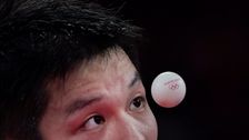 

    19 Amazing Action Shots From The Tokyo Olympics

