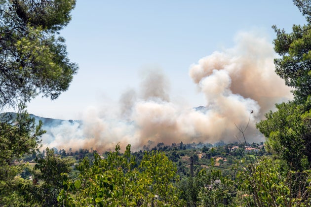 This is a photo of a forest fire in a residential area at the suburbs of Athens, Greece.