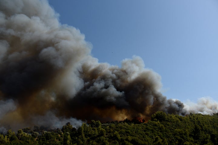 ΠΥΡΚΑΓΙΑ ΣΤΗΝ ΠΕΡΙΟΧΗ ΛΑΜΠΙΡΗ ΑΧΑΙΑΣ (EUROKINISSI)