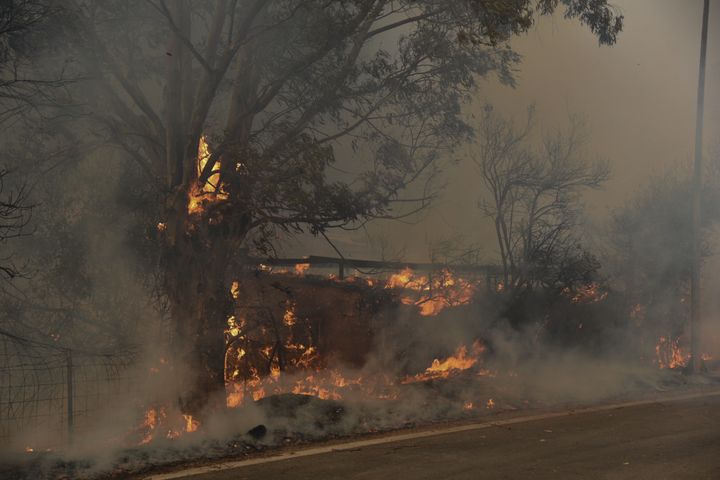 ΠΥΡΚΑΓΙΑ ΣΤΗΝ ΠΕΡΙΟΧΗ ΛΑΜΠΙΡΗ - ΜΠΟΥΚΑ ΑΧΑΙΑΣ (EUROKINISSI)