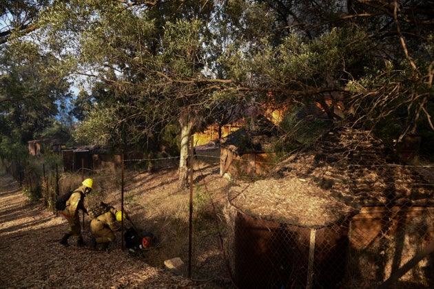 ΠΥΡΚΑΓΙΑ ΣΤΗΝ ΠΕΡΙΟΧΗ ΛΑΜΠΙΡΗ - ΜΠΟΥΚΑ ΑΧΑΙΑΣ (EUROKINISSI)