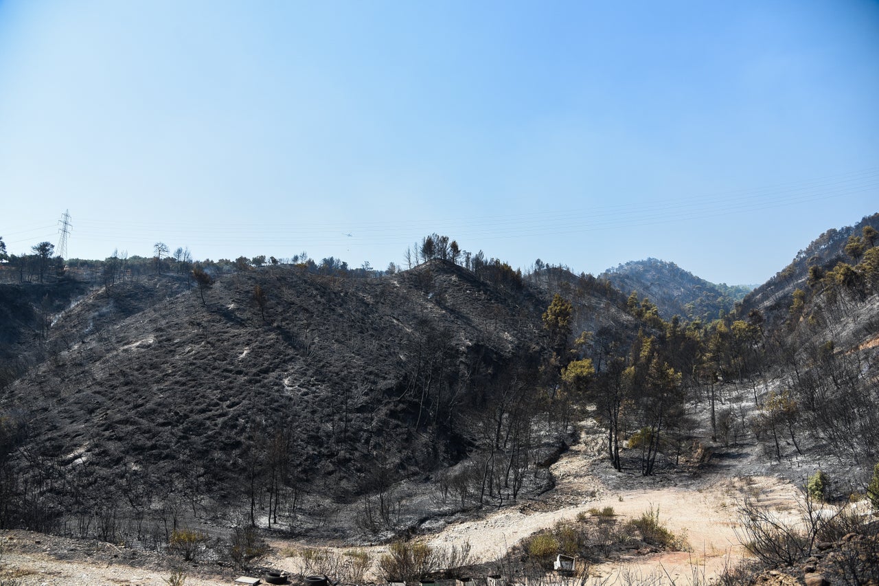 ΔΕΥΤΕΡΗ ΗΜΕΡΑ ΤΗΣ ΠΥΡΚΑΓΙΑΣ ΣΤΟ ΛΑΜΠΙΡΙ ΑΧΑΪΑΣ (EUROKINISSI)