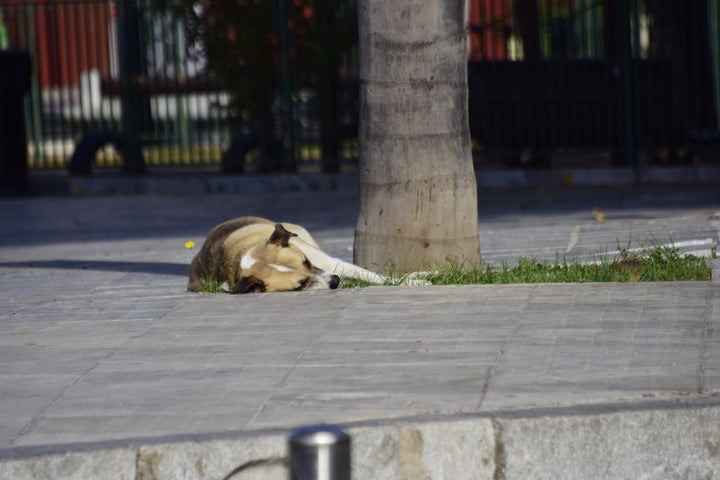 Φωτογραφία αρχείου.