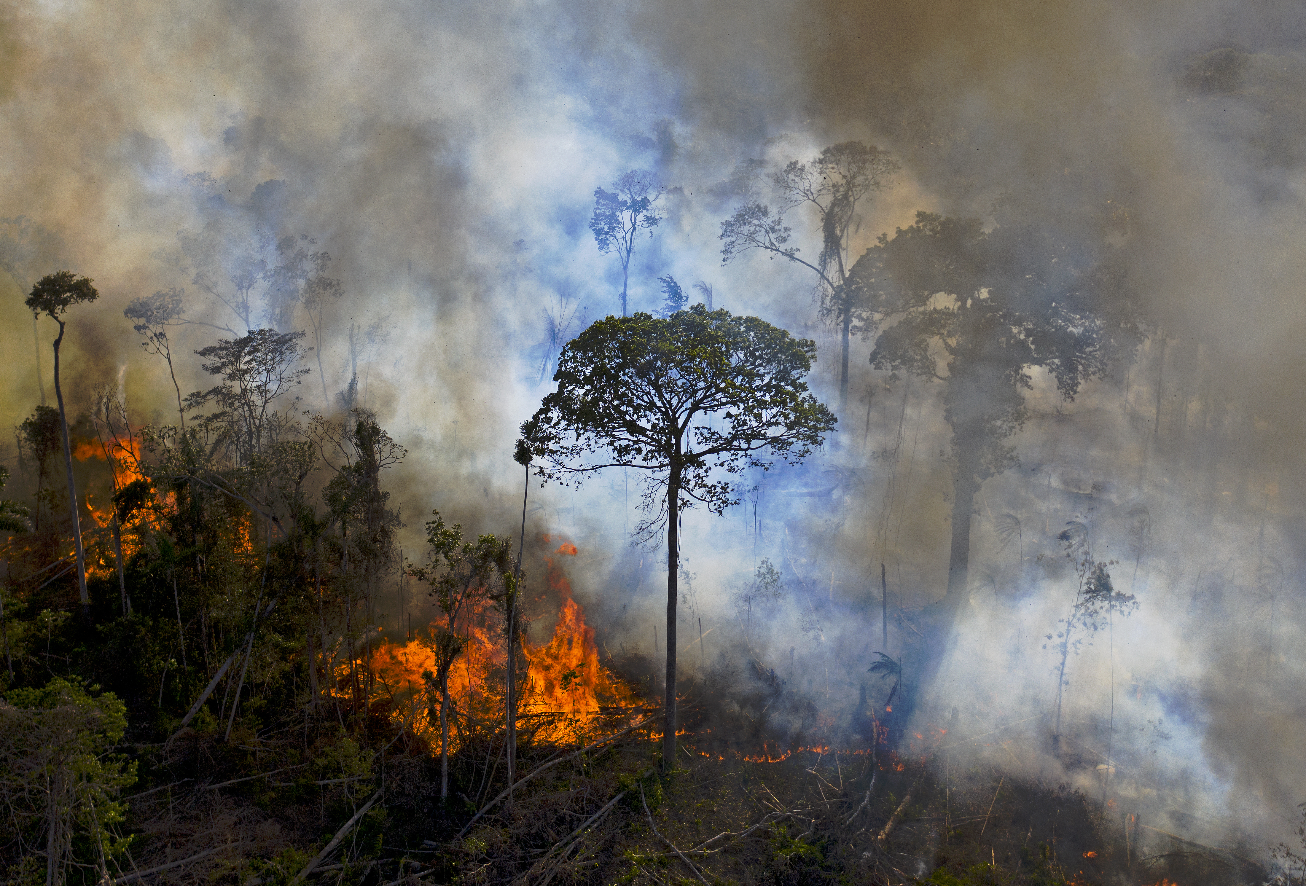 Amazonie: le Brésil n'atteindra pas son objectif de réduction de la déforestation