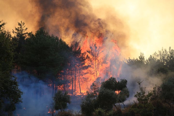 A forest fire in Mulga, Turkey, this week