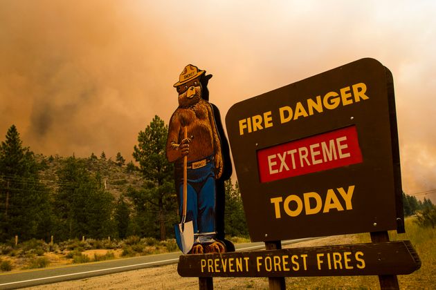 Experts are continuing to study the effects that wildfire smoke can have on our brains and bodies.