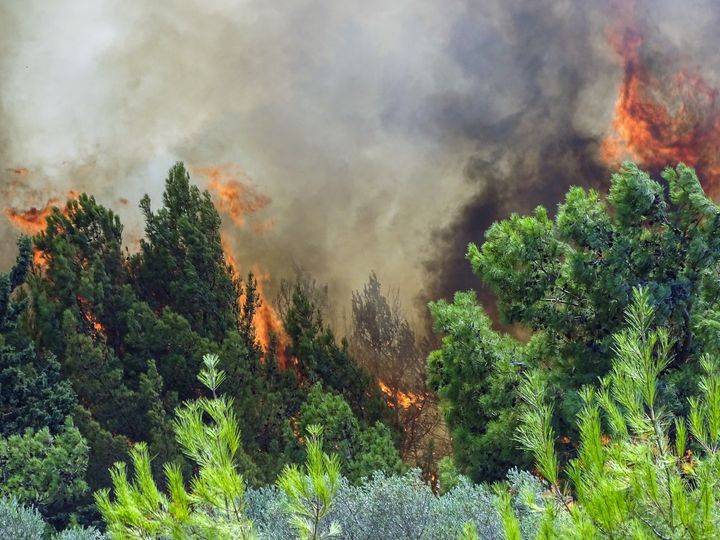 Στιγμιότυπο από την πυρκαγιά στην Ρόδο, Κυριακή 1 Αυγούστου 2021.