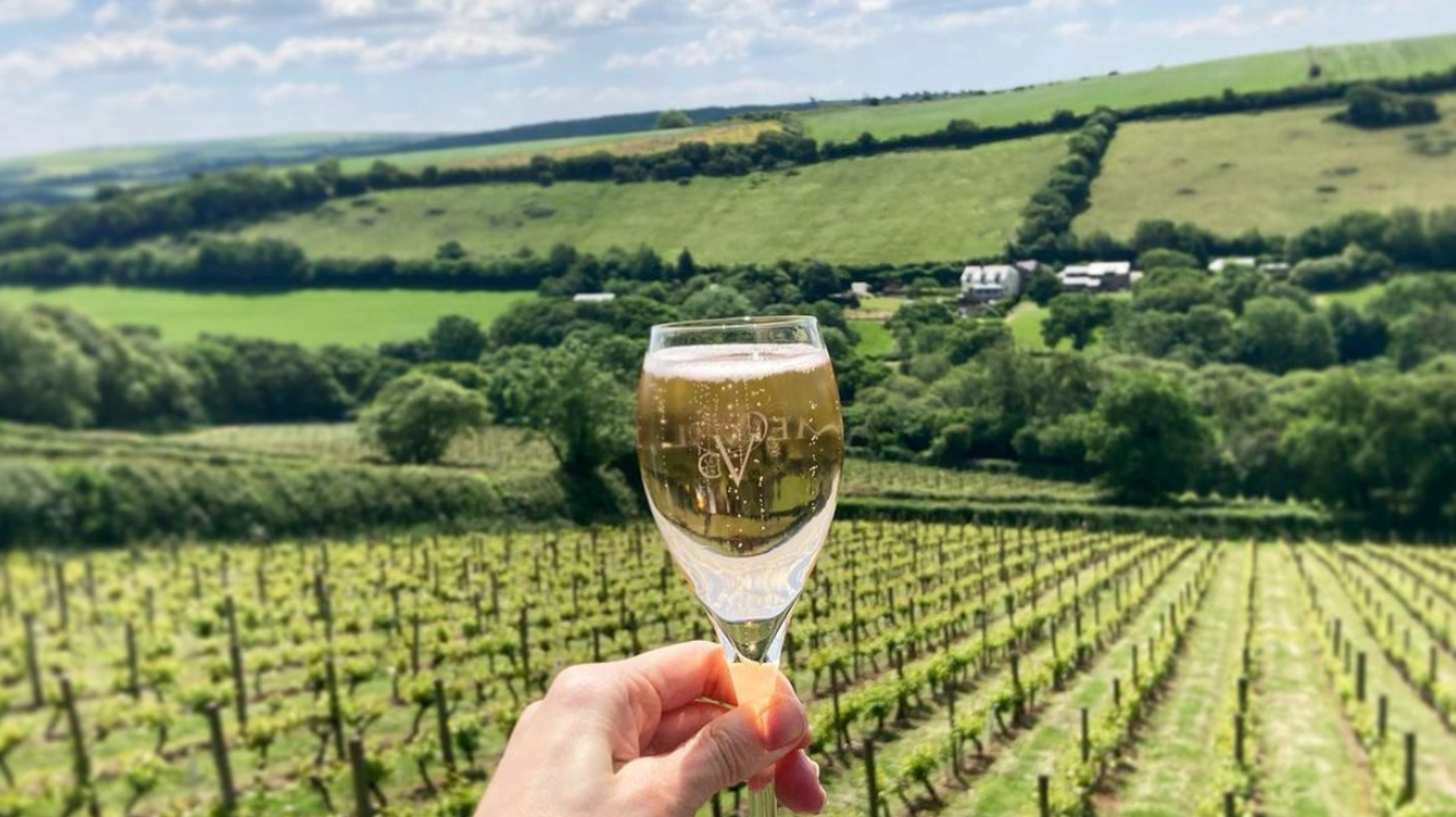 10 Beautiful British Vineyards You'll Absolutely Want To Visit ...