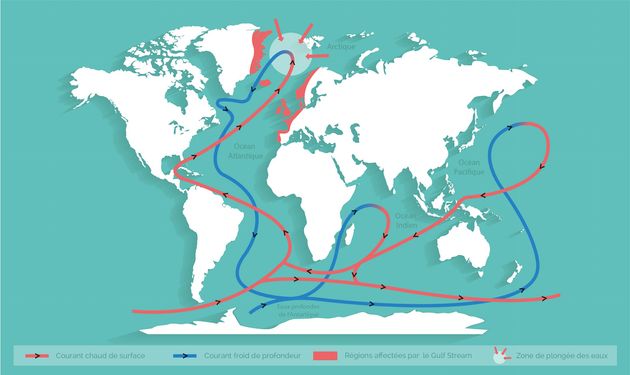 Carte des courants marins