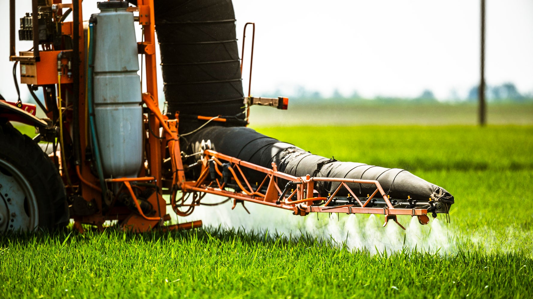 This Year's 'Dead Zone' In The Gulf Of Mexico Is Larger Than Average