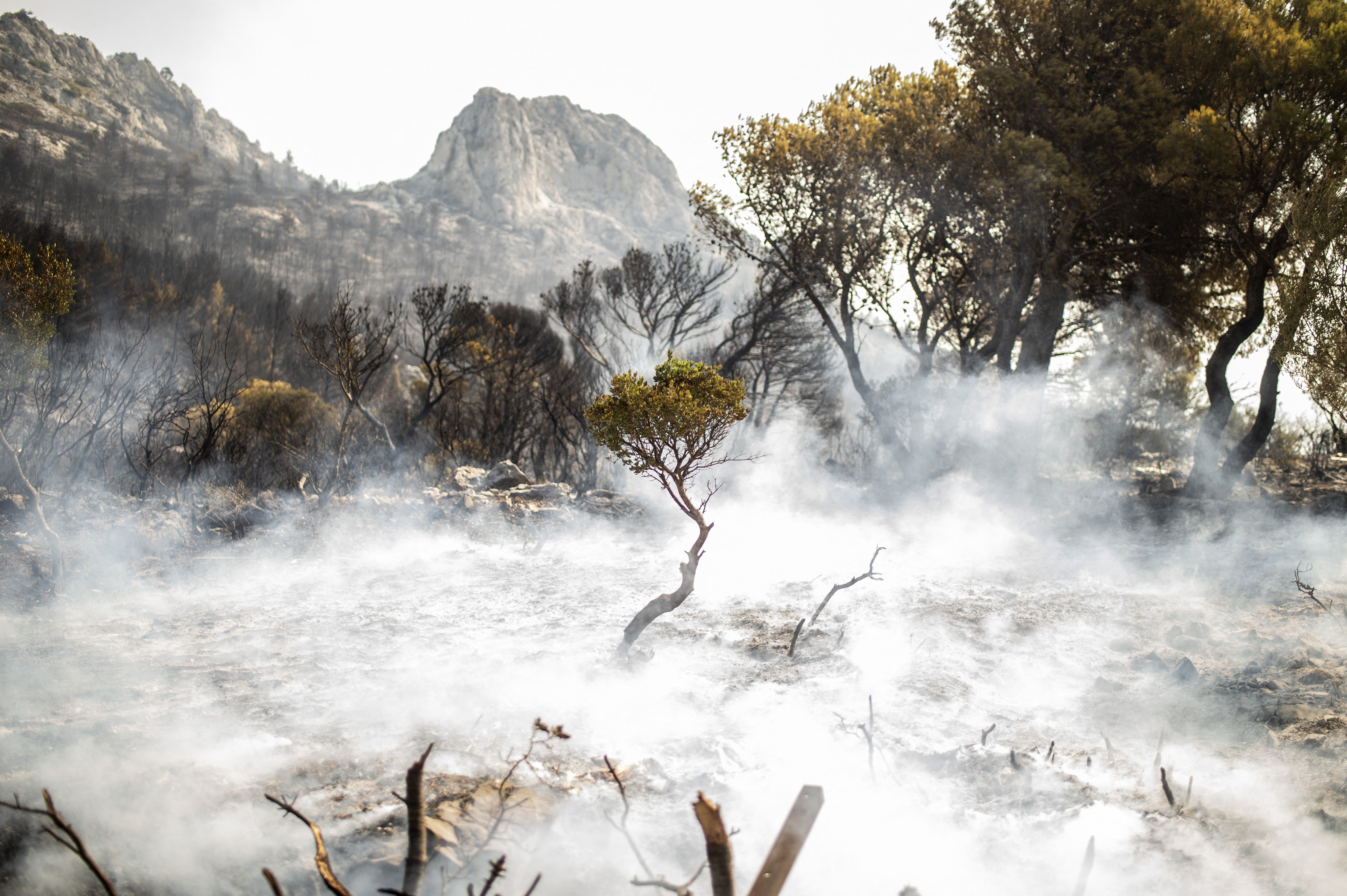 Incendies en Grèce: la France déploie 3 Canadairs et 80 pompiers