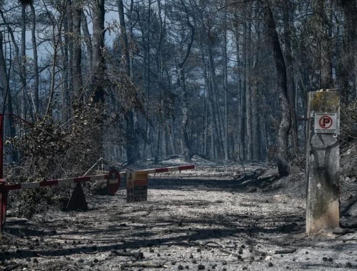 Η απόλυτη καταστροφή στην είσοδο της ιστορικής διαδρομής προς την λίμνη Κιθάρα.