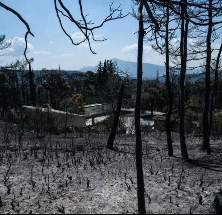 Πϊσω από τα βασιλικά γκαράζ.