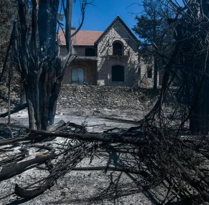 Στάχτη τα τρία υπεραιωνόβια κυπαρίσσια στο δεύτερο επίπεδο του κήπου του υπασπιστηρίου. 