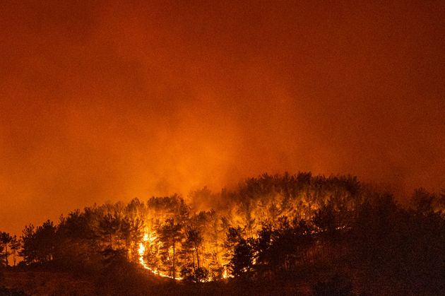 Une forêt en feu dans le village d'Akcayaka, en Turquie, le 6 août