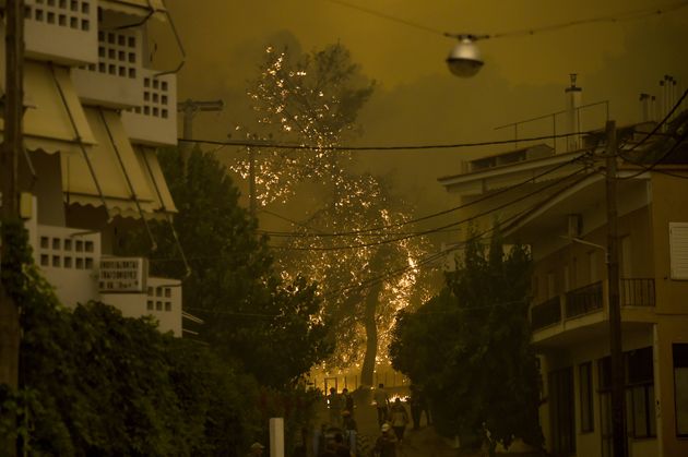 Φωτιά στην Εύβοια: 500.000 στρέμματα στάχτη και χωριά κυκλωμένα από φλόγες για 7η