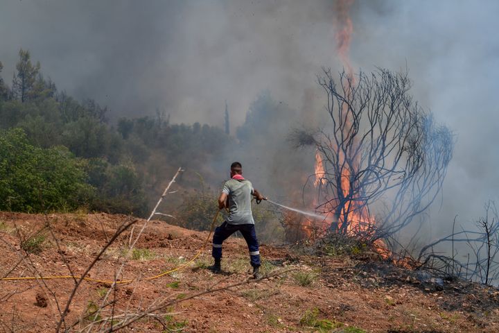 Πυροσβέστες, εθελοντές και κάτοικοι προσπαθούν να μην επεκταθεί η φωτιά στο δρυοδάσος της Φολόης, μία προστατευόμενη περιοχή από το Δίκτυο NATURA 2000. Σάββατο 7 Αυγούστου 2021 (EUROKINISSI/ ILIALIVE.GR ΓΙΑΝΝΗΣ ΣΠΥΡΟΥΝΗΣ)