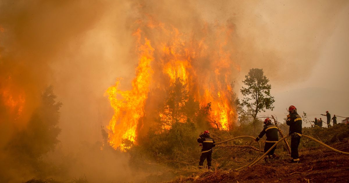 Burn is on fire. Лесные пожары. Пожары в Греции. Греция 2007 год Лесной пожар. Лесные пожары 2021 год.