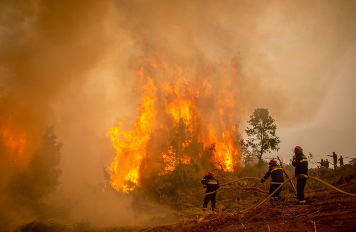 Serbian firefighters use a water hose to extinguish the burning blaze of a forest fire in the village of Glatsona on Evia (Eu