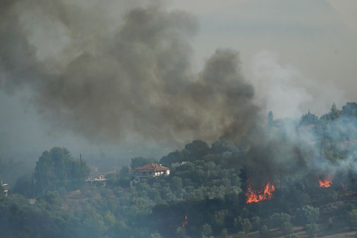 Στιγμιότυπο από την πυρκαγιά στην Αρχαία Ολυμπία, 5 Αυγούστου 2021.