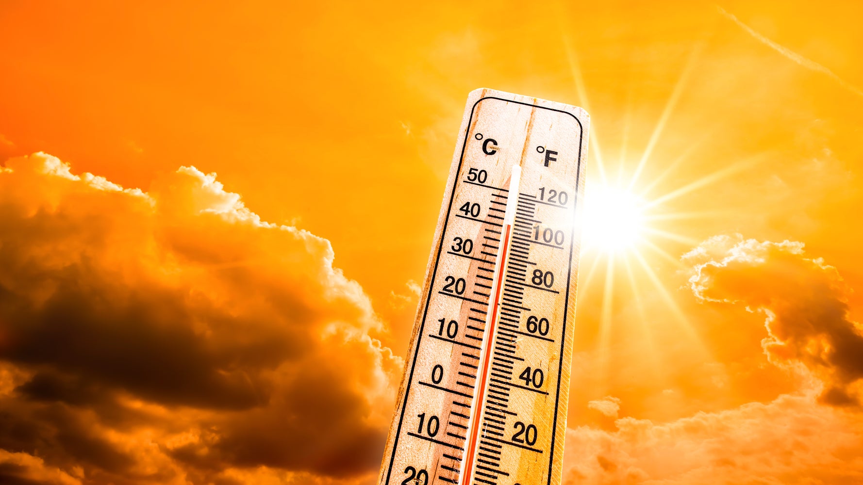 Cómo sobrevivir a la ola de calor en 11 consejos - Vimarsana News