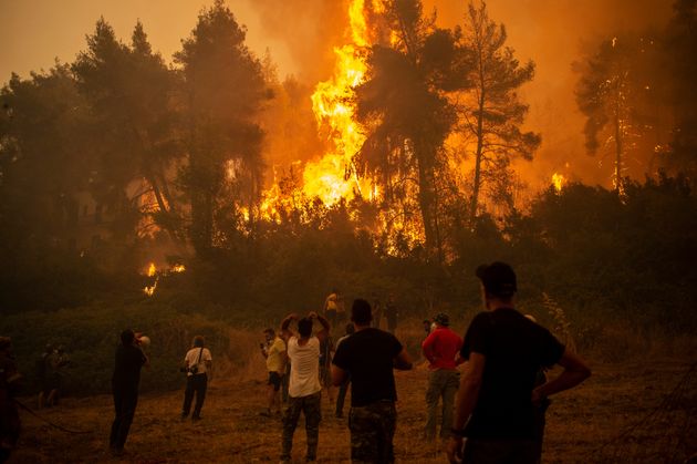 Des habitants de l'île d'Evia (Eubée), la deuxième plus grande île de la Grèce, devant les incendies qui ravagent les forêts, le 8 août 2021