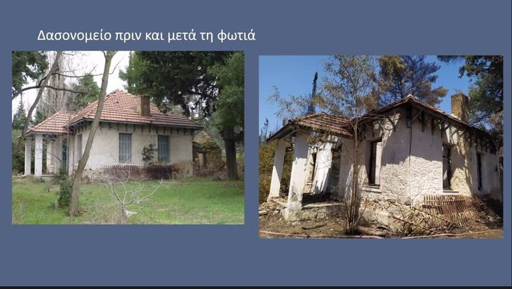 Το δασονομείο πριν και μετά την φωτιά στο Τατόι