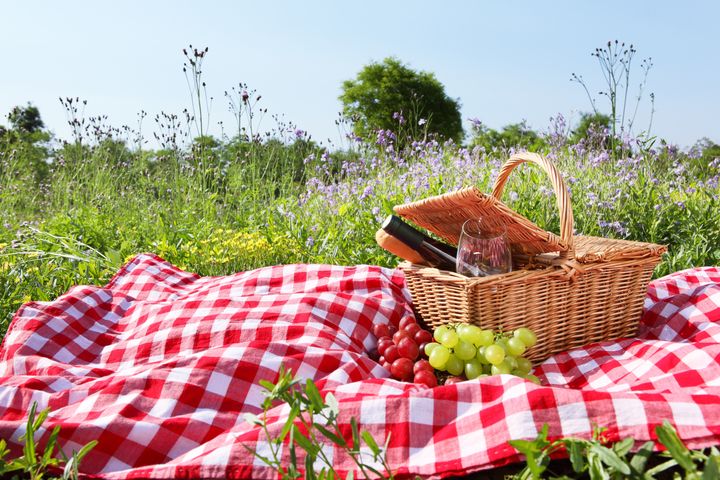 outdoor picnic setting with wine