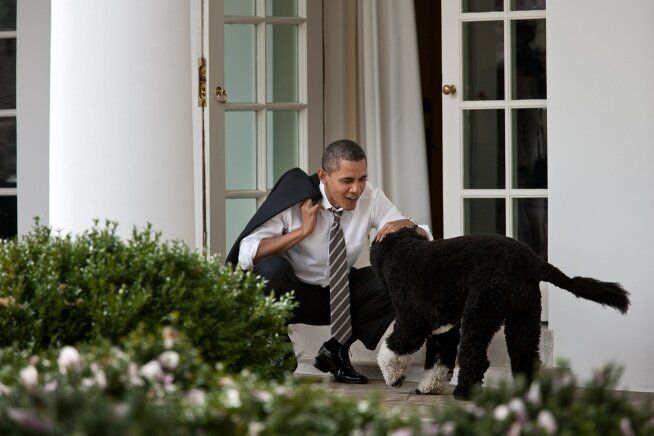 Las mascotas de los presidentes (FOTOS) | HuffPost Voices