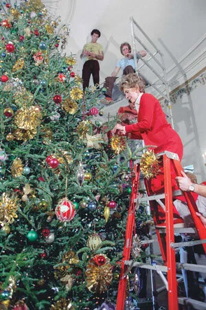 Tradiciones navideñas sin afectar medio ambiente: no al musgo para