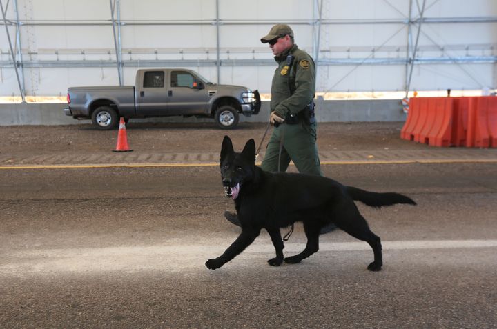NOGALES, AZ - FEBRUARY 26: A U.S. Border Patrol agent and drug sniffing German Shepherd, Jack-D, prepare to search vehicles for drugs at a checkpoint near the U.S.-Mexico border on February 26, 2013 north of Nogales, Arizona. Border Patrol agents use canines to detect illegal drugs crossing north from Mexico. (Photo by John Moore/Getty Images)