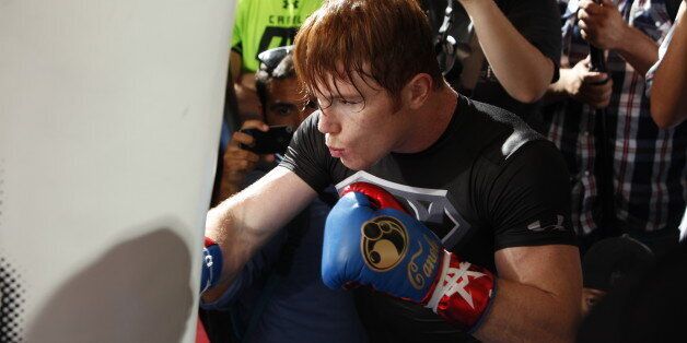 BIG BEAR LAKE, CA - AUGUST 27: Unified Super Welterweight World Champion Canelo Alvarez holds a media workout on August 27, 2013 in Big Bear Lake, California. (Photo by Alexis Cuarezma/Getty Images)