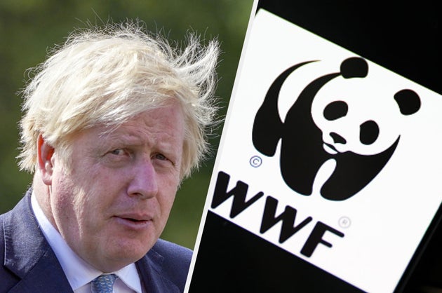 WWF hit out at the government for its