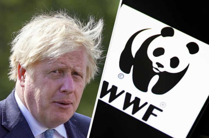 WWF hit out at the government for its budget