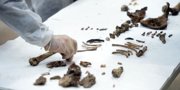MADRID, SPAIN - JANUARY 24: Experts analyse bones to find the remains of the 17th Century author Miguel de Cervantes at the Convent of the Barefoot Trinitarians in Madrid, Spain on January 24, 2015. Miguel de Cervantes, considered to be Spains greatest writer and the author of 'Don Quixote' was buried in 1616 at the Convent of the Barefoot Trinitarians in Madrid, but the exact whereabouts of his grave within the tiny convent chapel are unknown. The second phase of the searching is begin after identifying what they believe are three unrecorded and unidentified graves in the chapel's crypt. (Photo by Evrim Aydin/Anadolu Agency/Getty Images)