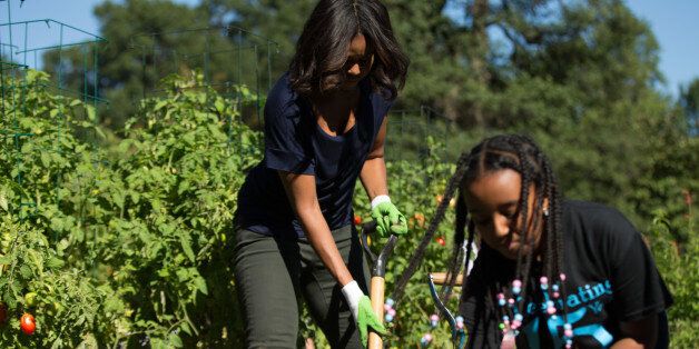 First lady Michelle Obama, joined by school children from Washington area, dig out sweet potatoes as they participate in a harvest of the White House Kitchen Garden, Tuesday, Oct. 6, 2015, at the White House in Washington. (AP Photo/Andrew Harnik)
