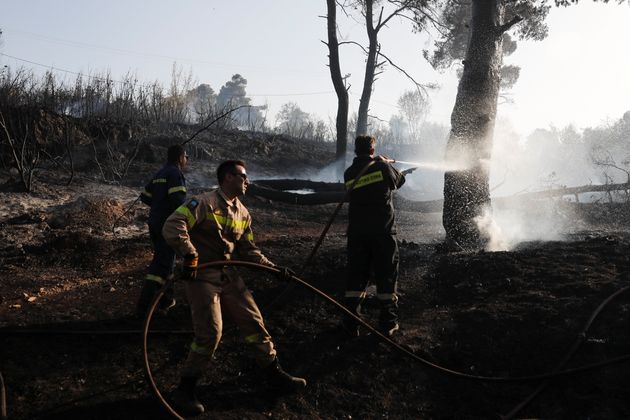 Après 100.000 hectares partis en fumée, les incendies en Grèce finalement maîtrisés  (Photo prise près de Rodopoli en Grèce le 27 juillet 2021 par REUTERS/Costas Baltas)