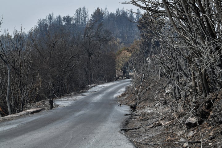 Εικόνα από τη δευτερη ημέρα της πυρκαγιάς στην Γορτυνία, Τετάρτη 11 Αυγούστου 2021. (EUROKINISSI/ILIALIVE.GR/ΓΙΑΝΝΗΣ ΣΠΥΡΟΥΝΗΣ)