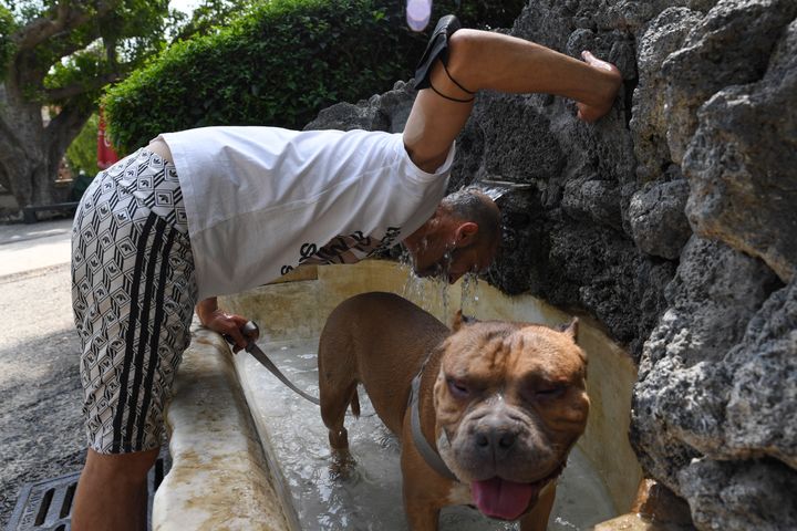 A man and his dog at a fountain in Catania, Sicily, Southern Italy, on Aug. 11.