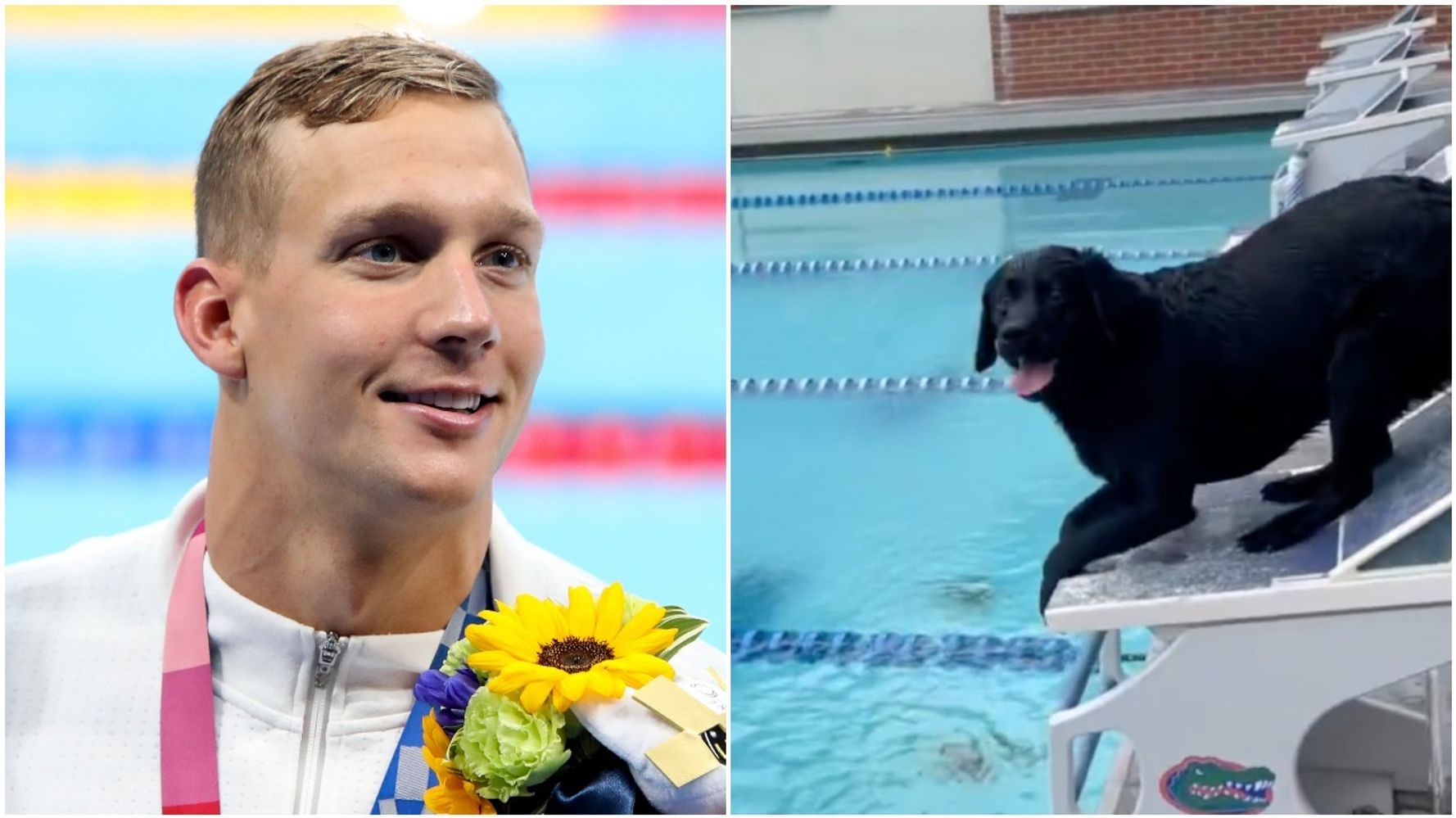 Caeleb Dressel Swims With His Dog Jane In Gold Medal-Worthy Video