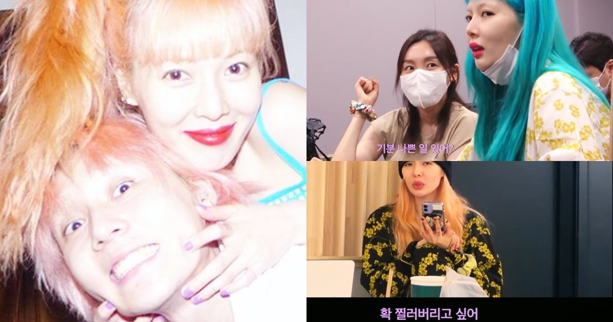Hyuna Dawn Couple On Reality Show I M Fine Thank You And You The Trailer Has Been Released And The Team S Activities Are Predicted Newsdir3 Hyuna Dawn Couple On Reality Show I M Fine Thank You And You The Trailer Has Been Released And The Team S Activities Are Predicted Newsdir3