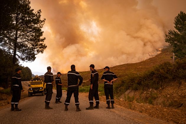 Au Maroc, plus de 700 hectares brûlés dans des
